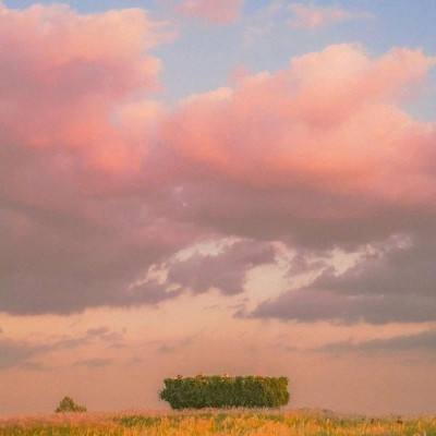 乐鱼官网手机app下载