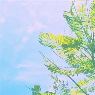 ayx体育在线登录下载手机版截图